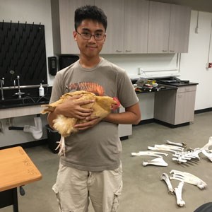 person standing in a laboratory and holding a live chicken