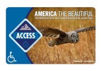 Digital image of an Access Pass, with a blue border and a picture of an owl flying over a yellow field