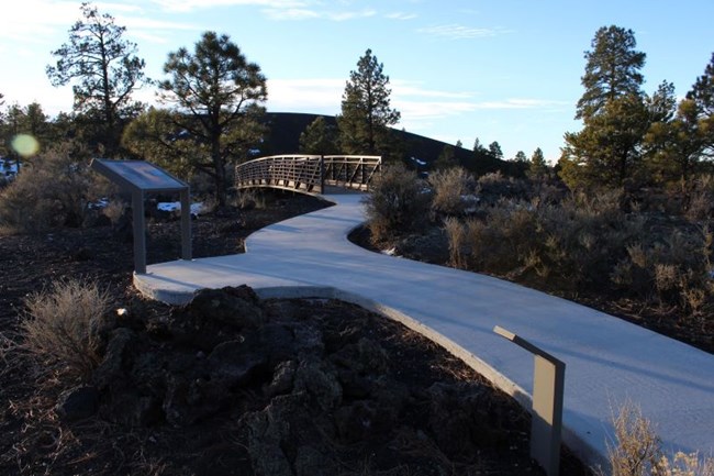 A paved trail with a bridge meandering through rough black rocks and pine trees