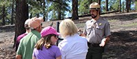 A park ranger gives a program to a group of visitors surrounded by tall pine trees.