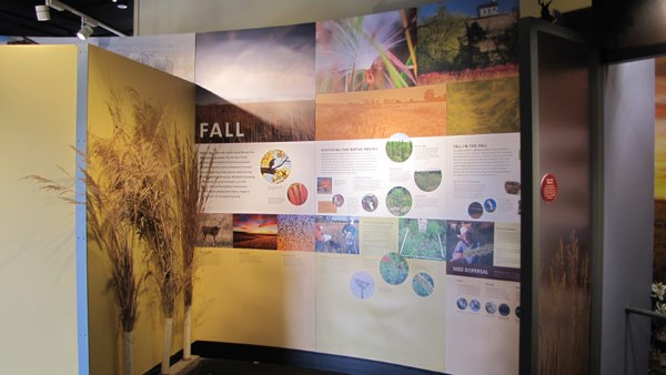 exhibits inside the visitor center