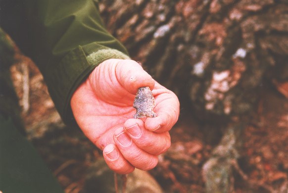A person's hand holding a flint American Indian arrowhead.