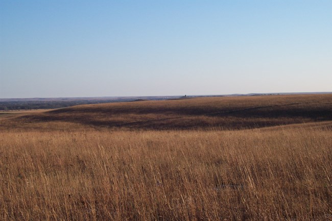 Bronze colored tallgrass prairie grasses in the fall with shadows coming across the hills.