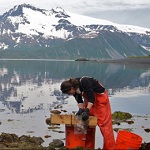 [photo] A scientist in red rain gear studies the contents of a screen with a lake and mountain in the background