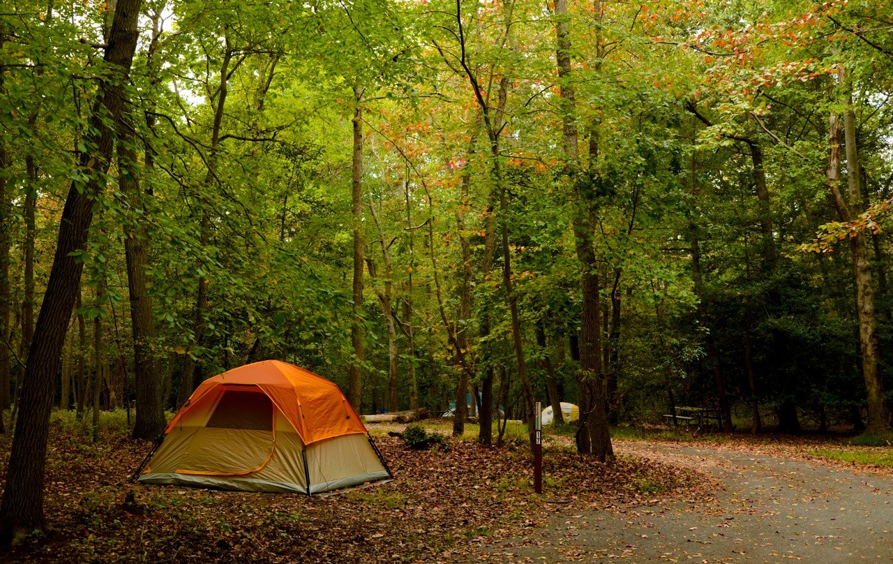 Camping at Greenbelt Park