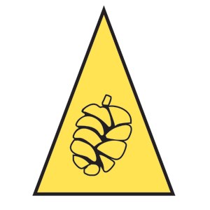A yellow triangle with a black outline. A black outline sequoia cone is within the triangle.