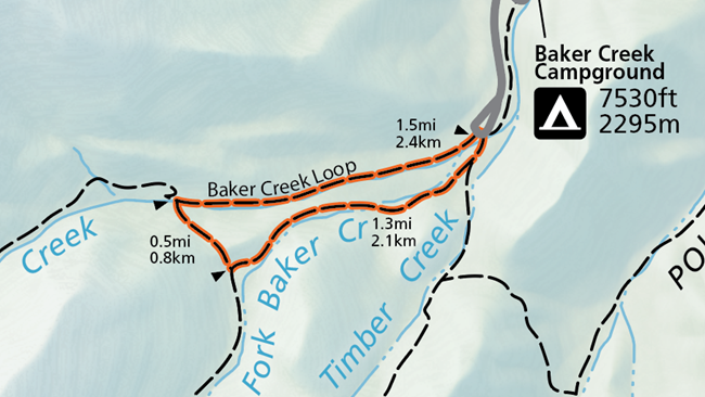 A color image of a selection of the official map of the national park. A grey road enters from the top and ends in a loop. From here an orange highlighted trail labeled "Baker Creek Loop" circles with distance markers.