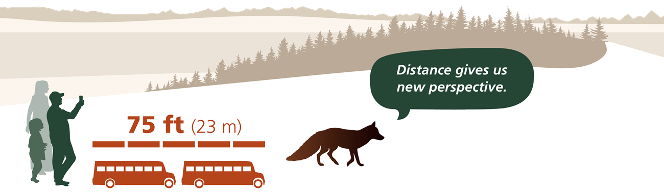 Silhouettes of people separated from silhouette of fox by two school buses, 75 feet or 23 meters. Fox speech bubble says "Distance gives us new perspective."