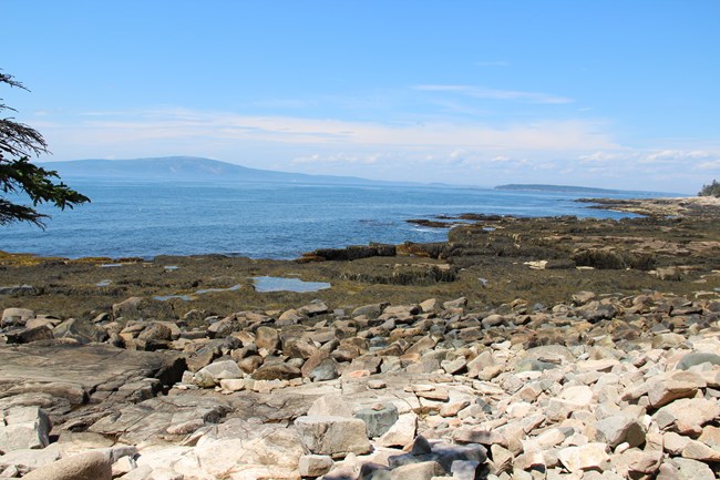 View of Cobble Beach from Sundew Trail.