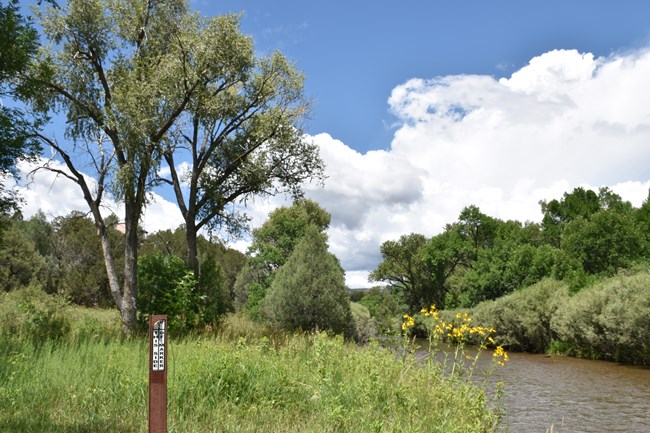Fishing beat marker along green riverbank.