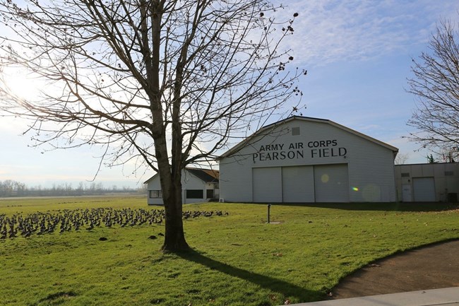 Pearson Air Museum on a sunny day.