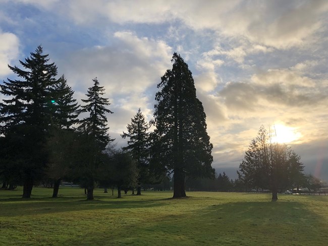 Sunrise over the great meadow.
