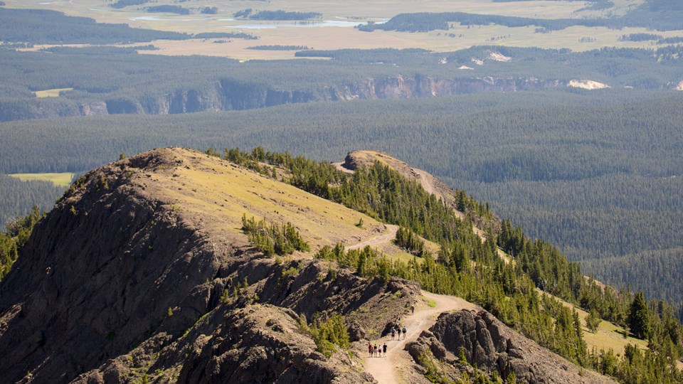 Hikers ascend Mount Washburn along a bare ground trail along a ridgeline.