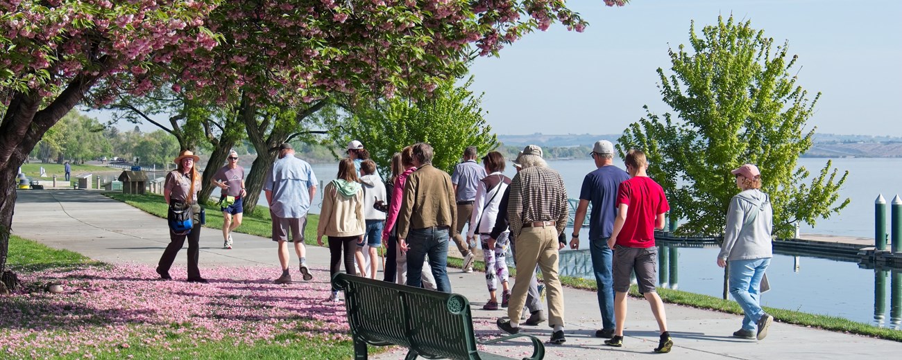 Group of people walk along a flower petal covered sidewalk next to a river.