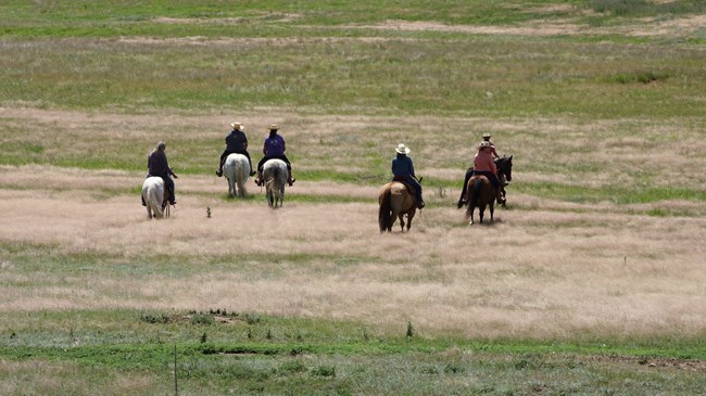 a group of people on horses ride into the prairie