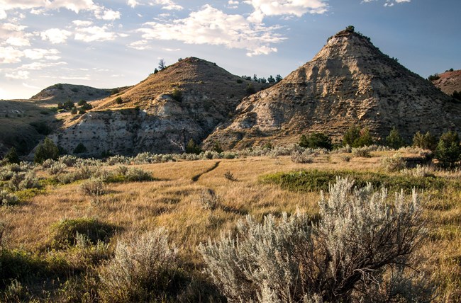 A trail leading through sage and mixed vegetation with buttes in the background.