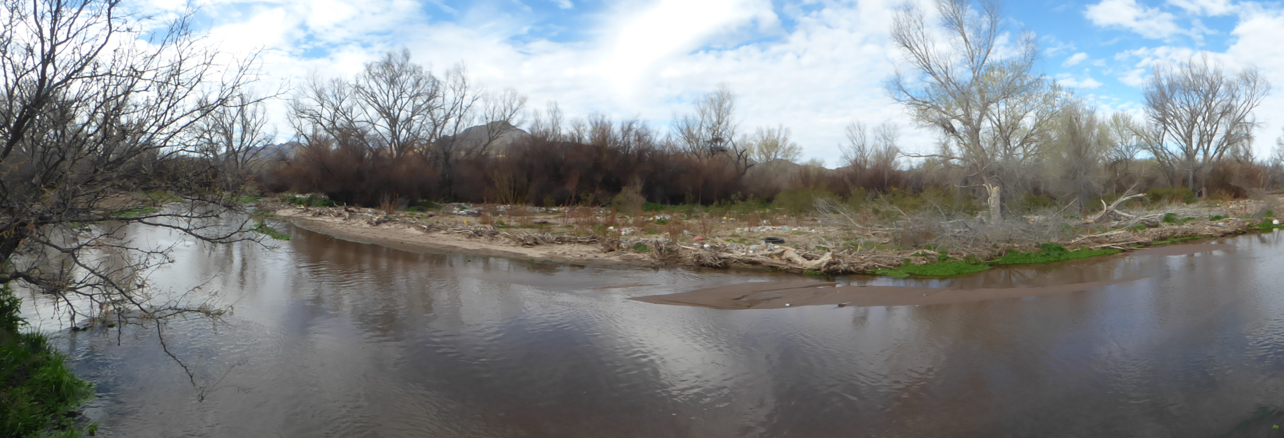 Muddy Santa Cruz River