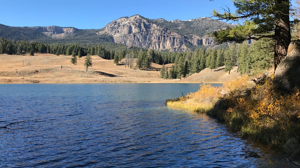 Trout Lake Trail (U.S. National Park Service)