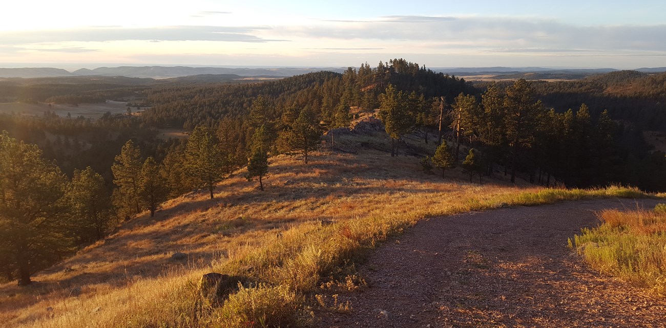 sunrise over a gravel path winding along an open hillside with pine tree covered hills in the distance