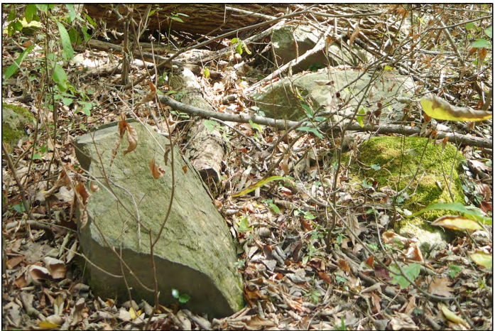 A modern color photo of two large grey stones covered in moss laying on branch and leaf covered ground. Various plants are growing around the stones.