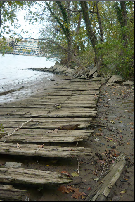 An image of old jagged wooden planks rising out of the waters of the Potomac River just above the muddy northern bank of TRIS acting as the landing site for the now defunct Georgetown ferry.