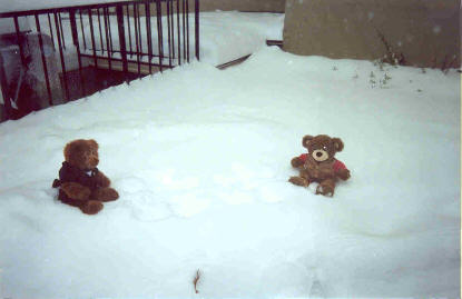 Nat and Parker bear.