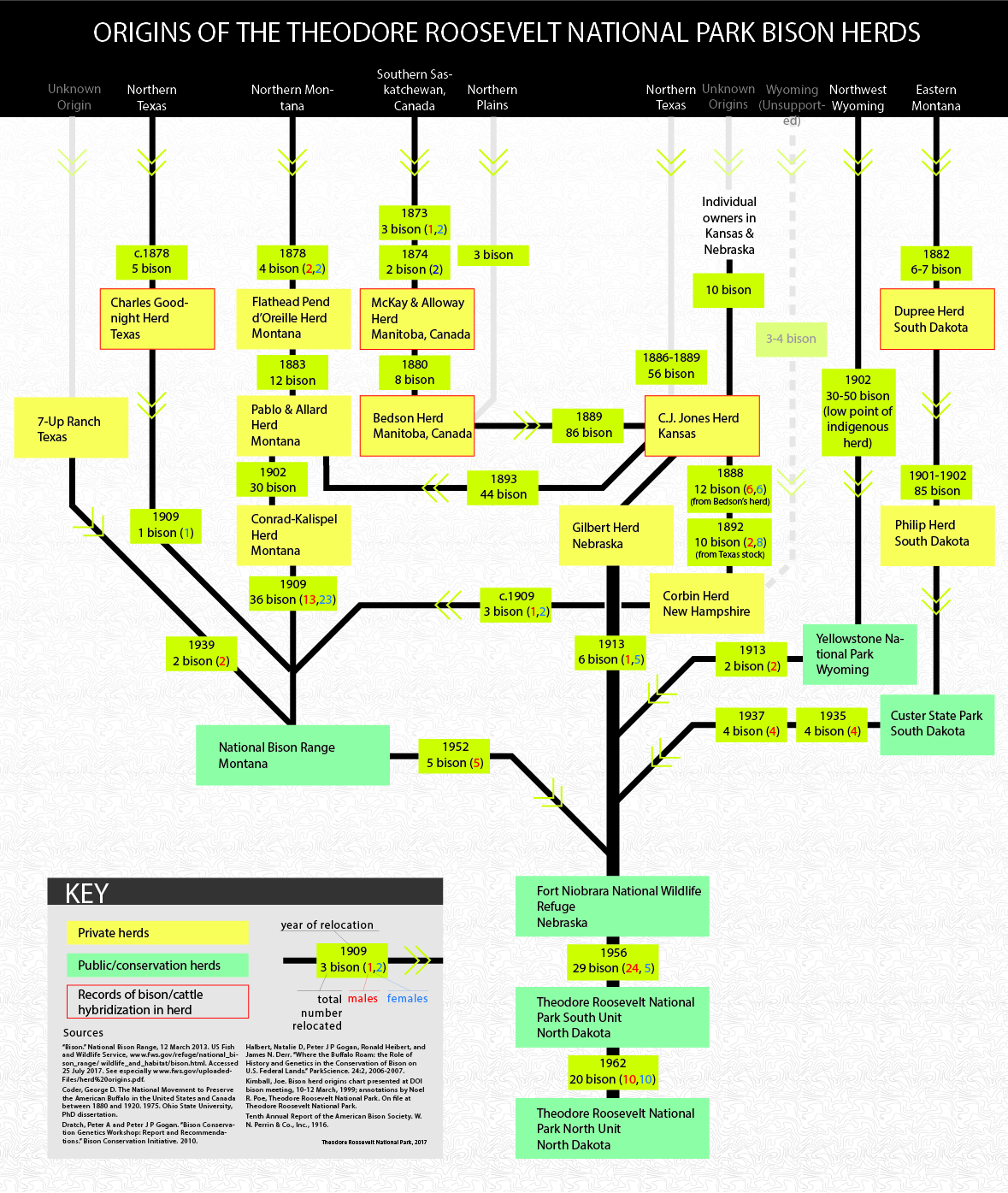 A chart shows the lineage of TRNP bison