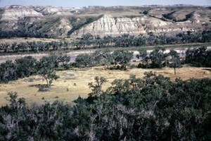 Elkhorn Ranch Site
