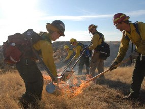 Firefighters setting a prescribed fire