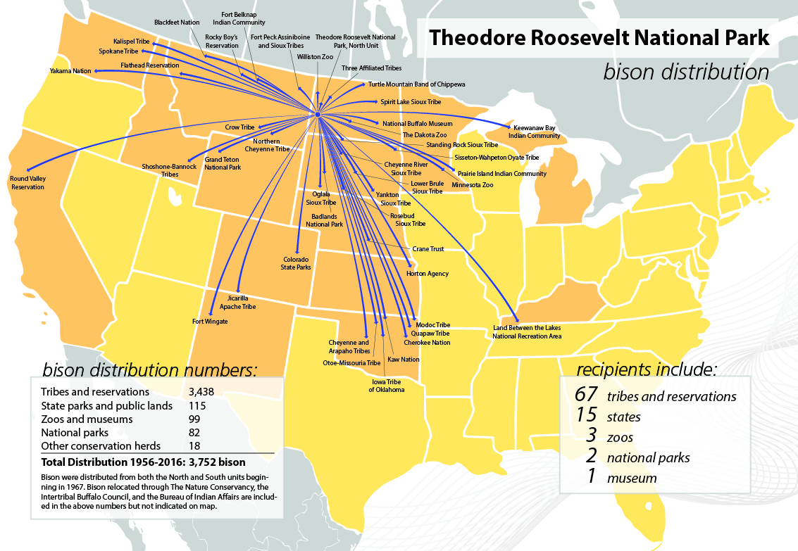 A map with arrows leading out from TRNP to all the locations to which park bison have been transferred