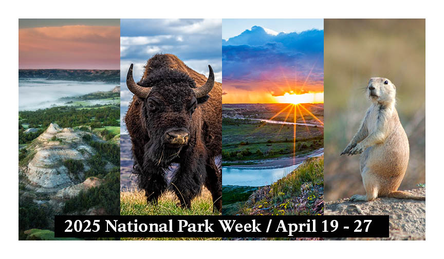 An advertisement for National Park Week 2025 (April 19 - 27) showing photos of the badlands, a bison, the Little Missouri River, and a prairie dog.