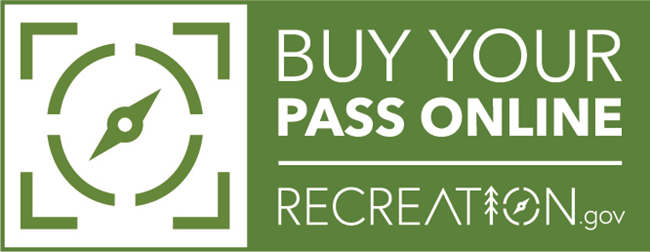 Buy Your Pass Online logo with compass