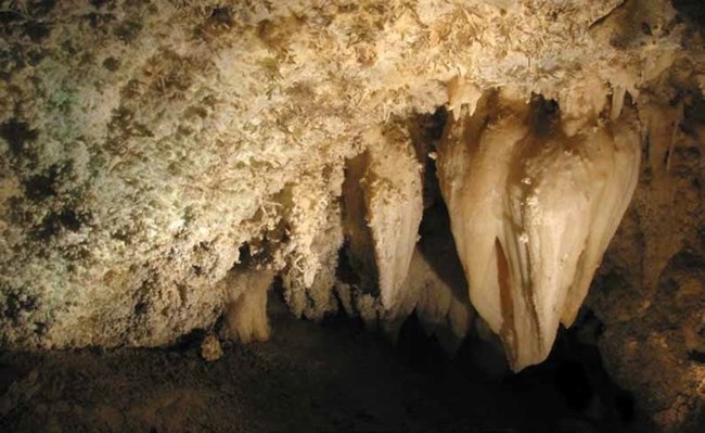 A large stalactite hangs off the ceiling of a cave surrounded by small, curly formations.