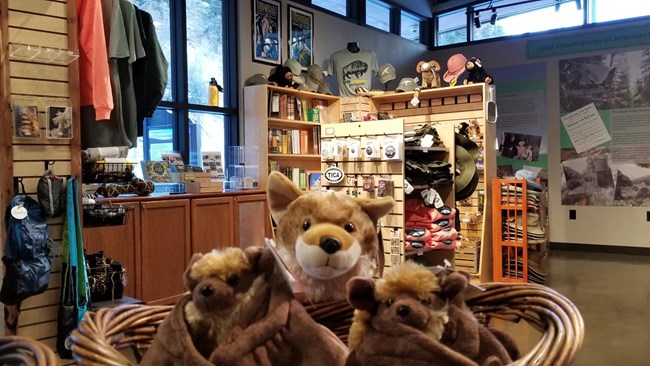 Stuffed Animals in front of books in a storefront