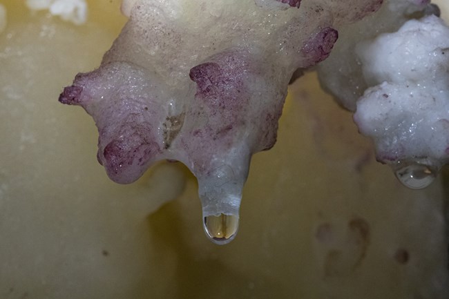 A drop of water suspended from a cave formation