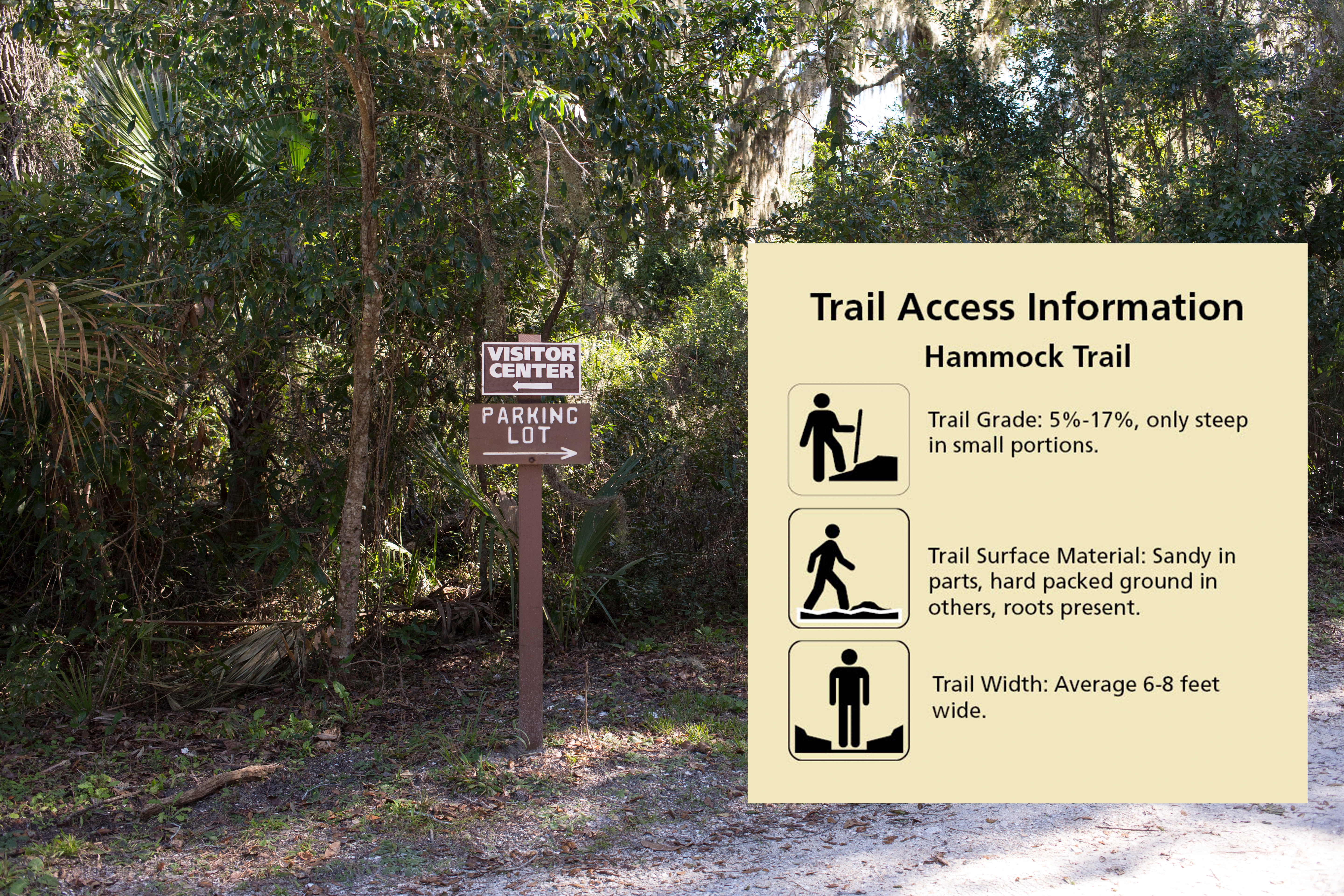 trail with woods and graphic with trail symbols and text reading "Trail Access Information Hammock Trail Trail Grade: 5%-17%, only steep in small portions. Trail Surface Material: Sandy in parts, hard packed ground in others, roots present. Trail Width: A