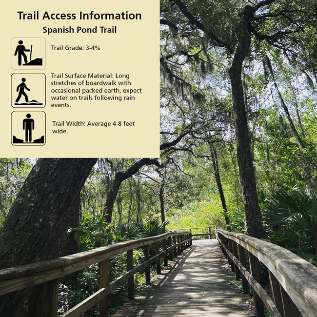 boardwalk leading into woods with Accessibility graphic with symbols in corner that reads "Trail Grade: 3-4% Trail Surface Material: Long stretches of boardwalk with occasional packed earth, expect water on trails following rain events. Trail Width: Aver