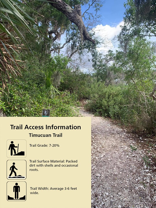 image of a shell covered trail in woods with graphic in corern about accessibility that reads "Trail grade 7-20% Trail Surface Material: Packed dirt with shells and occasional roots. Trail Width: Average 3-6 feet wide.