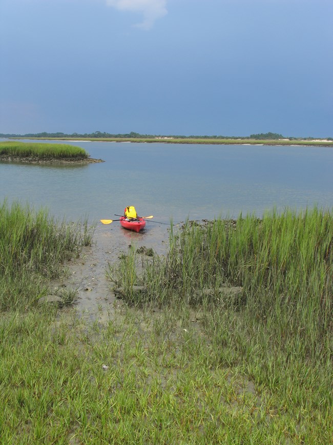 a red kayak sits on the marsh bank