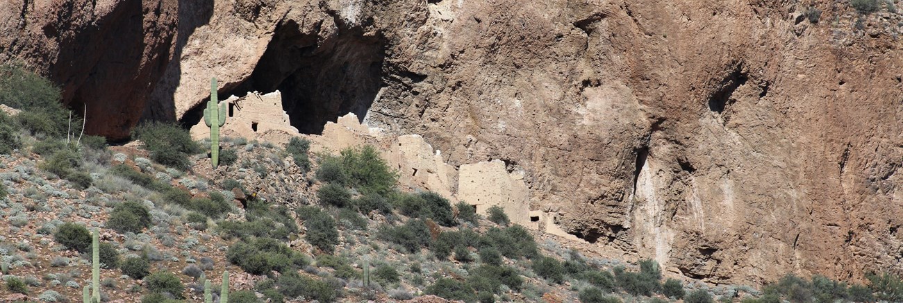 Cliff dwelling in an alcove surrounded by desert plants