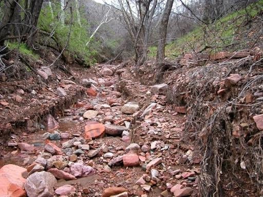 Riparian area with dry stream bed eroding the landscape.