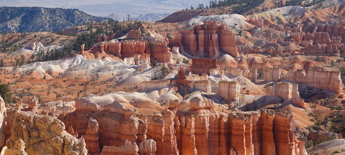 A sloping area of red rock formations interspersed with trees.