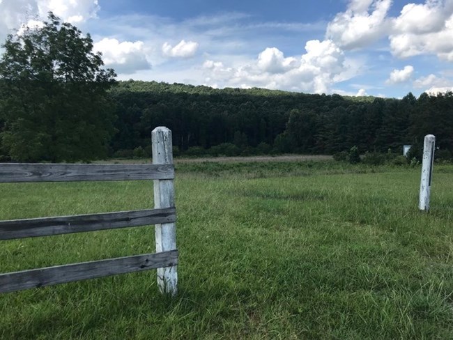 A grassy field surrounded by a white picket fence.