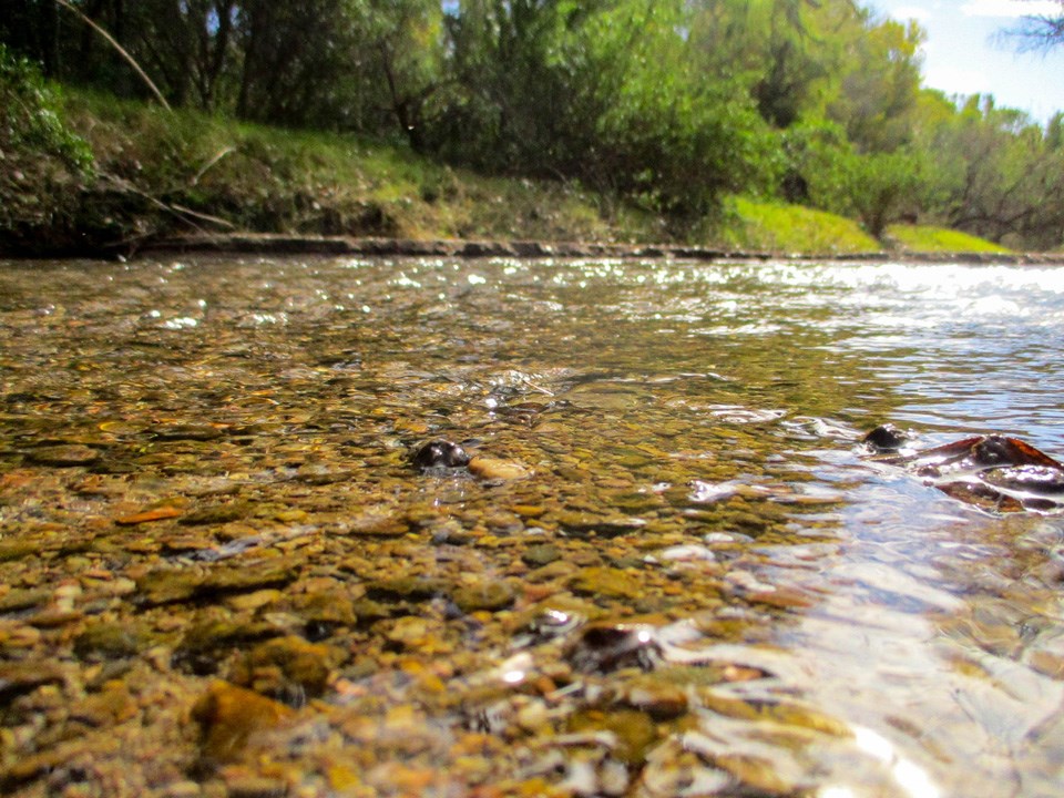closeup of river at water's edge