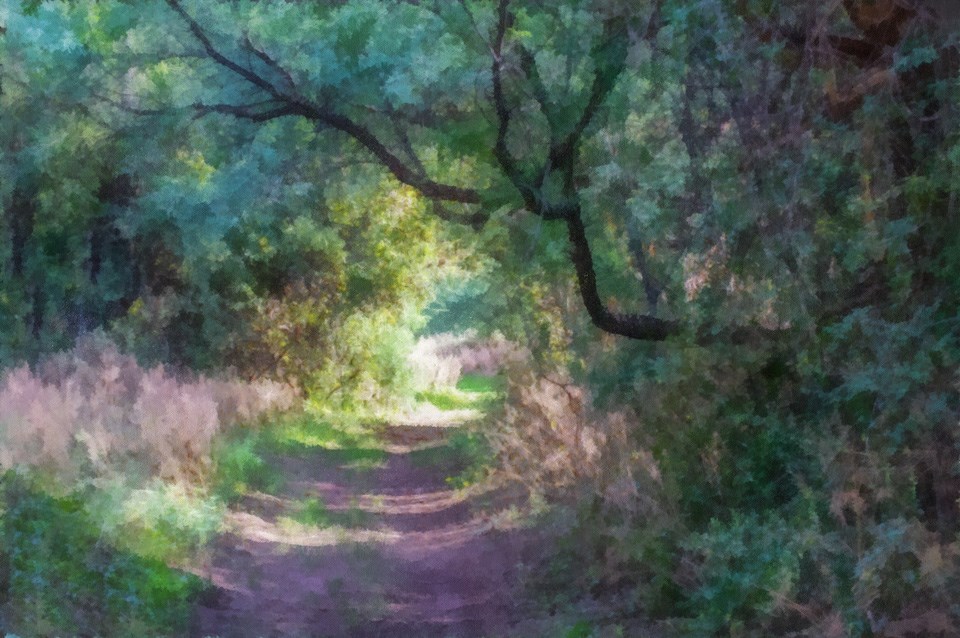 oil painting of green forest canopy and trail