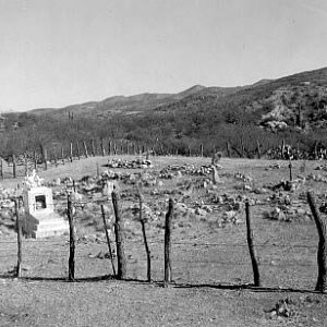 black and white photo of cemetery fenced by mesquite posts