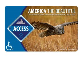 Front of lifetime access pass