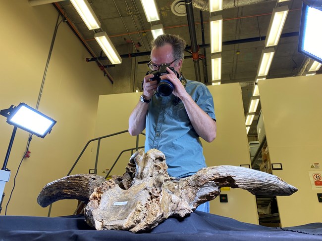 A man photographs a bison skull in a museum collection space