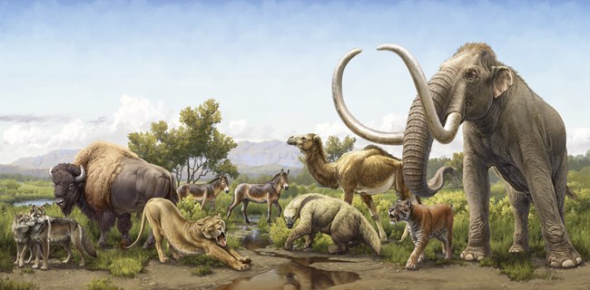 Ice Age animals in a wetland: mammoth, sabertooth cat, horse, camel, giant sloth, lion, wolves