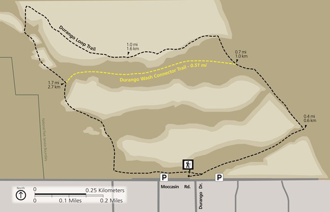 A loop trail with a bisecting wash connector trail through the center. The parking lot and trailhead are in the south portion of the trail.